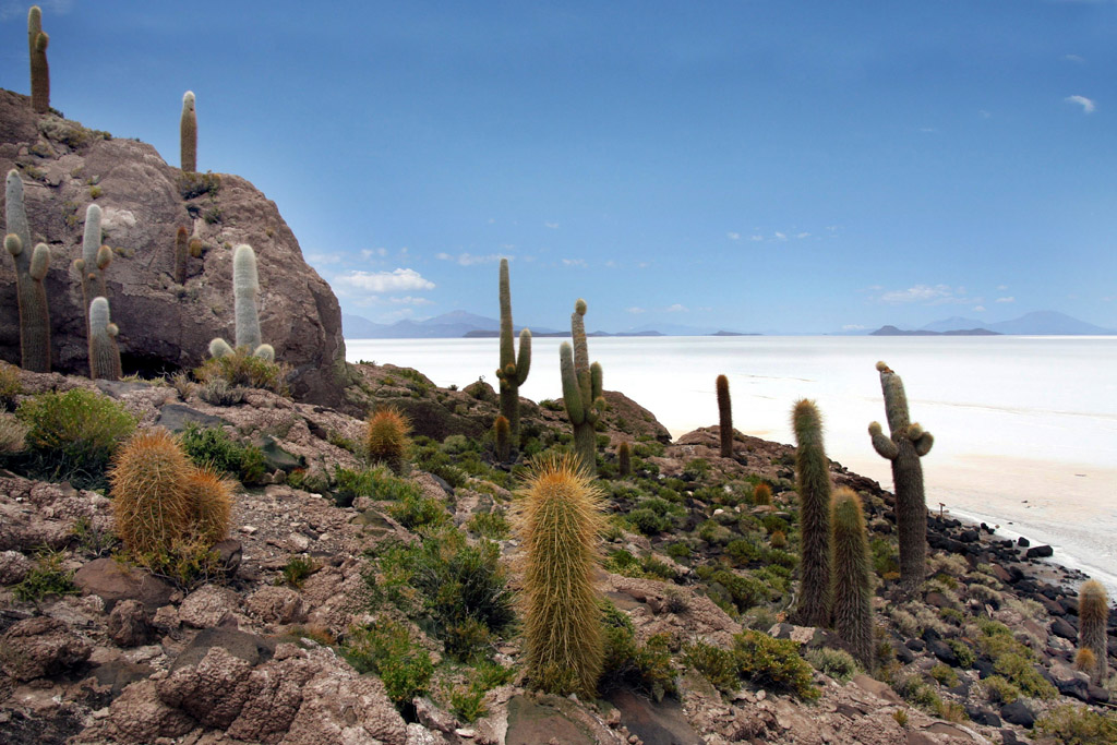 Bolivia - Kaktusovy ostrov na solnem jezere